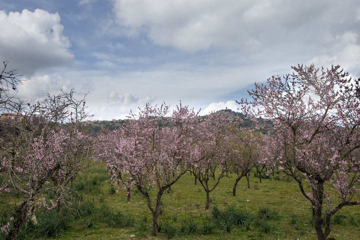 20130224-do9r2989-fb.jpg