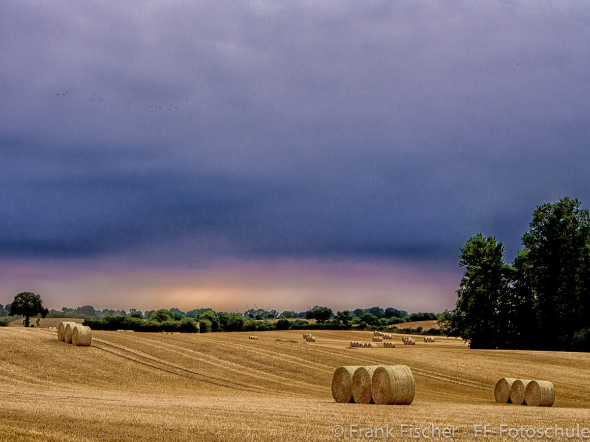 20130807-p8070474-bearbeitet-bearbeitet-fb_0.jpg