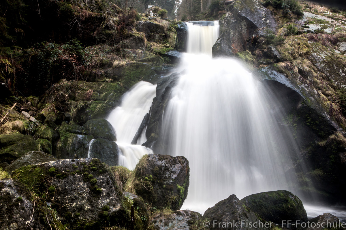 20140301-do9r6386-bearbeitet-2-fb.jpg