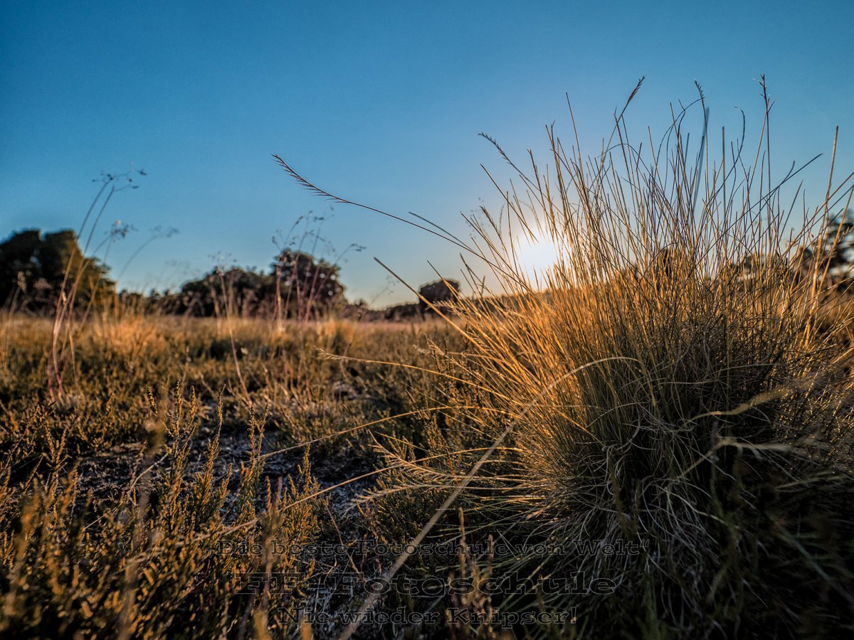 20150702-p7020010-bearbeitet-fb.jpg