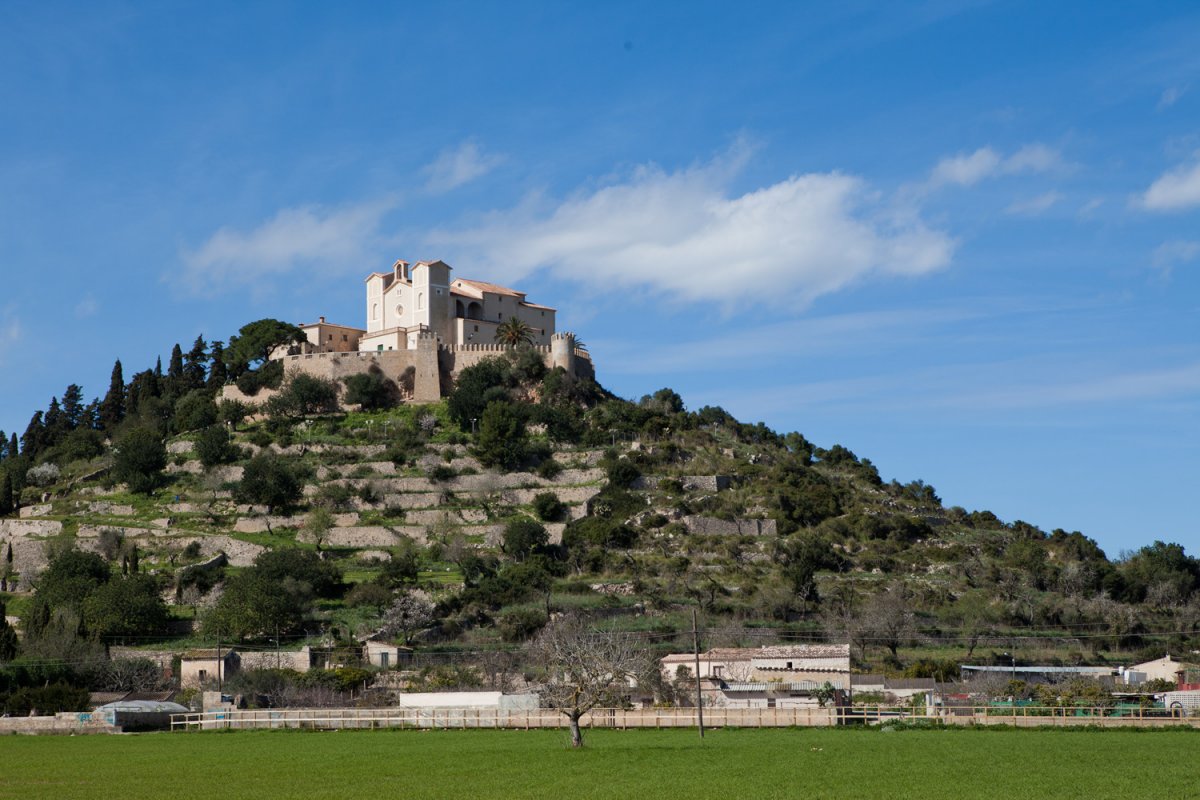 arta-bearbeitet-8516.jpg