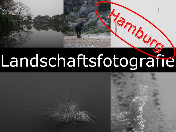 landschaft-hamburg.jpg