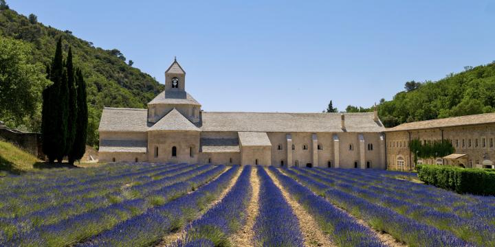 notre-dame_de_senanque1.jpg