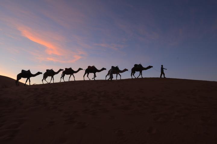 onmt_merzouga_3.jpg