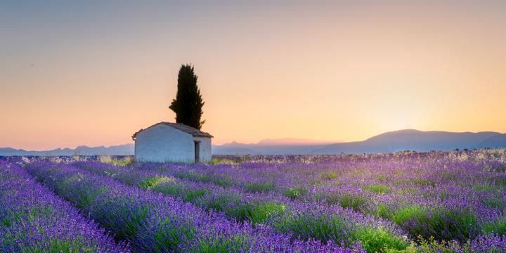 provence-1-2.jpg