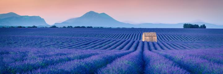 provence-2.jpg